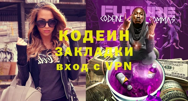 хмурый Покачи