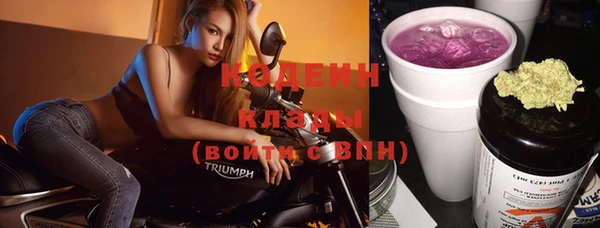 хмурый Покачи