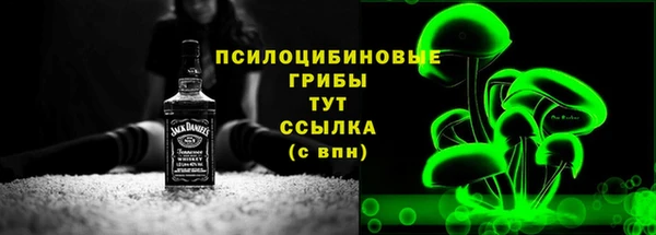 гашик Данков