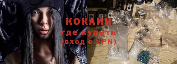 хмурый Покачи