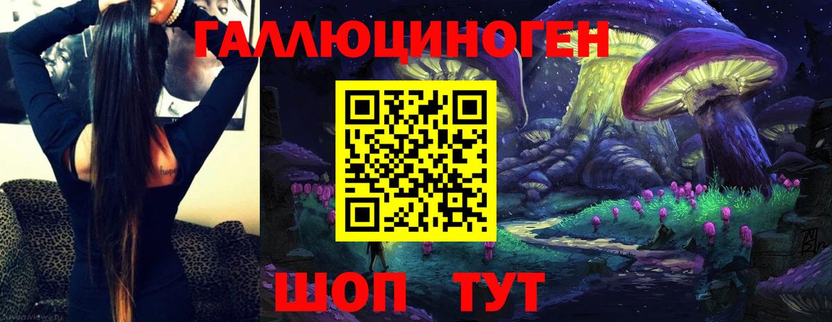 Псилоцибиновые грибы GOLDEN TEACHER Корсаков