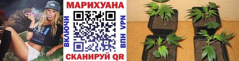 МАРИХУАНА AK-47 Корсаков